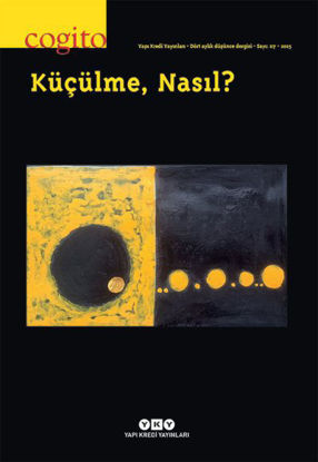Küçülme Nasıl - 117 resmi