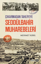 Çıkarmadan Tahliyeye Seddülbahir Muharebeleri resmi