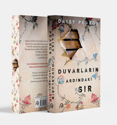DUVARLARIN ARDINDAKİ SIR resmi