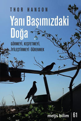 YANI BAŞIMIZDAKİ DOĞA resmi