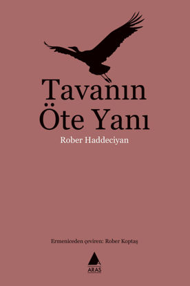 TAVANIN ÖTE YANI resmi