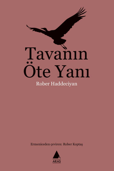 Tavanın Öte Yanı resmi