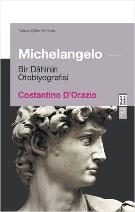 Michelangelo resmi