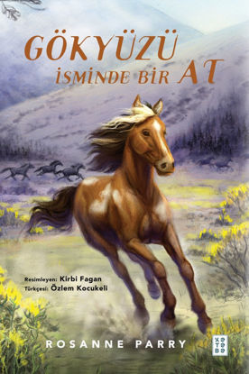 Gökyüzü İsminde Bir At resmi