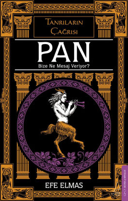 Pan Bize Ne Mesaj Veriyor? resmi