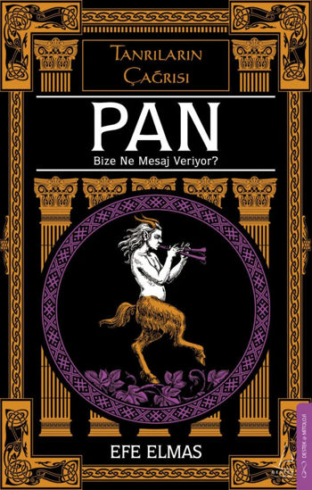 Pan Bize Ne Mesaj Veriyor? resmi
