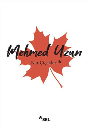 Nar Çiçekleri resmi