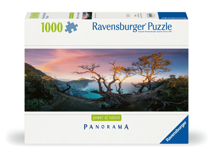 Manzara 1000P resmi