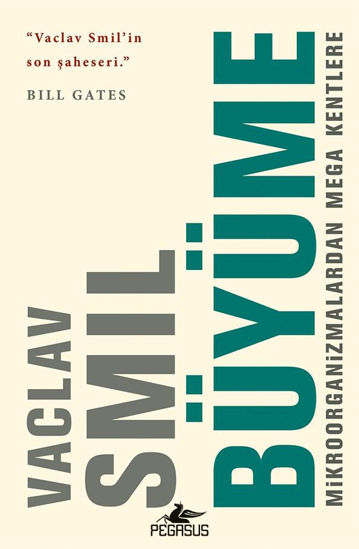 Büyüme resmi