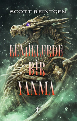 Kemiklerde Bir Yanma 3 resmi