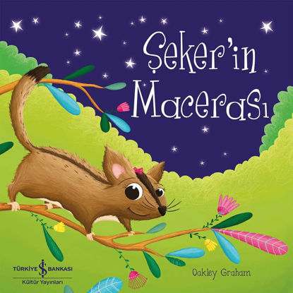 Şeker’in Macerası resmi