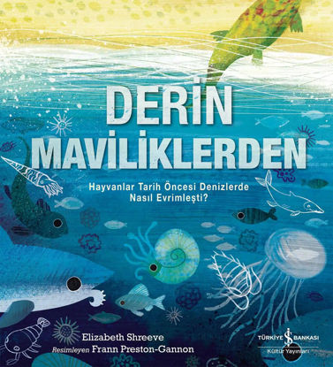 Derin Maviliklerden resmi
