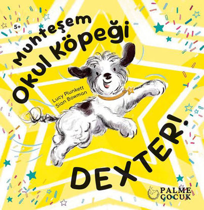 Muhteşem Okul Köpeği Dexter resmi