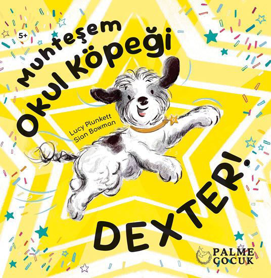 Muhteşem Okul Köpeği Dexter resmi