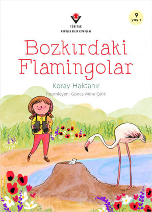 Bozkırdaki Flamingolar resmi