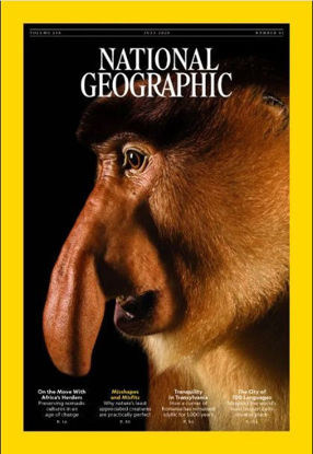 National Geographic resmi