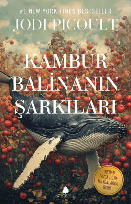 Kambur Balinanın Şarkıları resmi