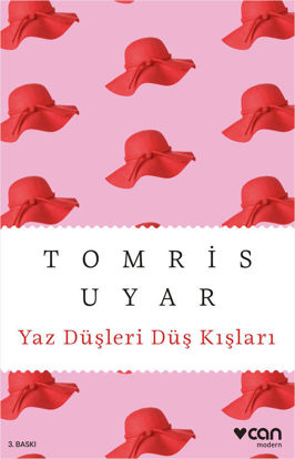 Yaz Düşleri Düş Kışları resmi