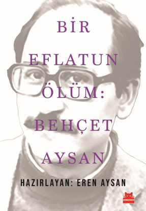 Bir Eflatun Ölüm - Behçet Aysan resmi