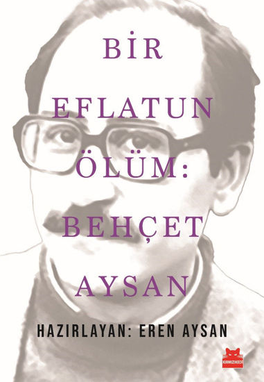 Bir Eflatun Ölüm - Behçet Aysan resmi