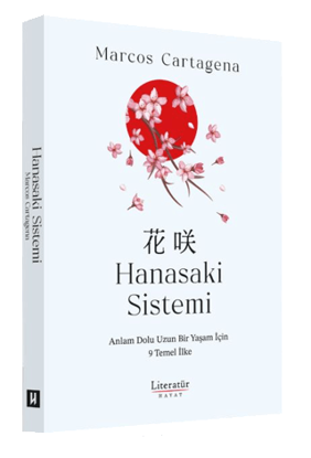 Hanasaki Sistemi resmi