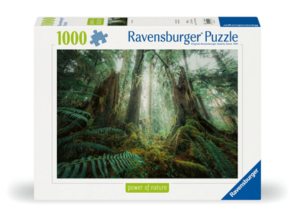 Ormanda 1000P resmi