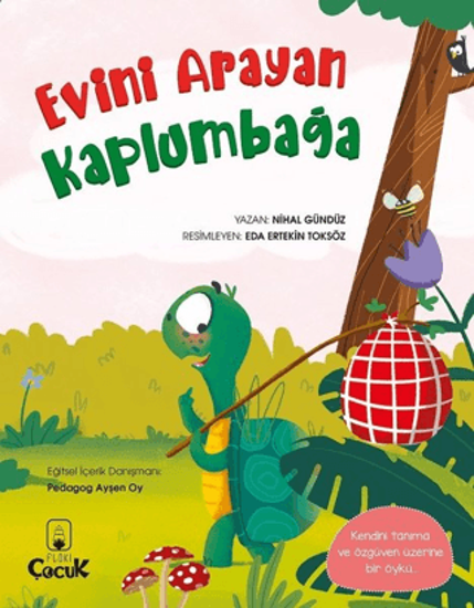 Evini Arayan Kaplumbağa resmi