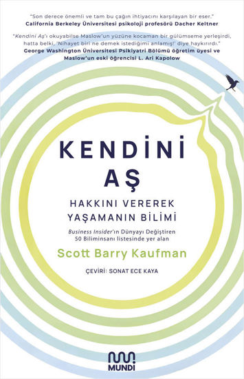 Kendini Aş resmi