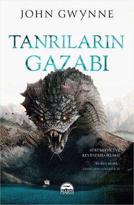 Tanrıların Gazabı resmi