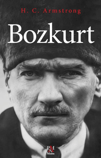Bozkurt resmi