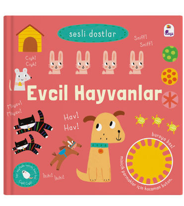 Sesli Dostlar – Evcil Hayvanlar resmi