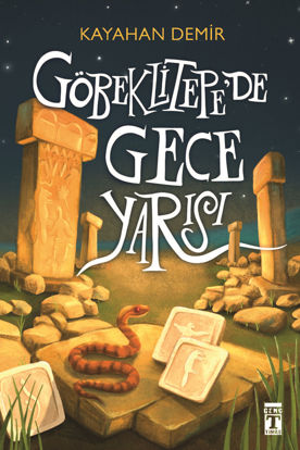 Göbeklitepe'de Gece Yarısı resmi