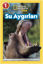 National Geographic Kids - Su Aygırları resmi
