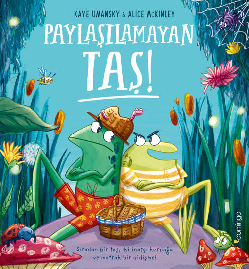 Paylaşılamayan Taş resmi