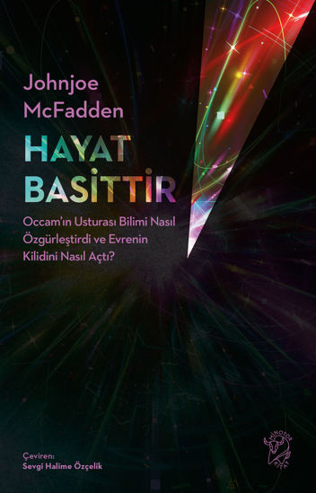 Hayat Basittir resmi