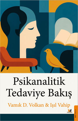 Psikanalitik Tedaviye Bakış resmi