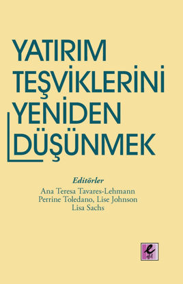 Yatırım Teşviklerini Yeniden Düşünmek resmi