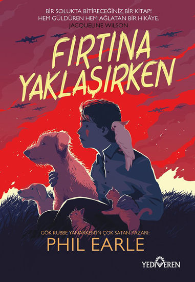 Fırtına Yaklaşırken resmi