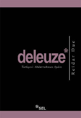 Deleuze resmi