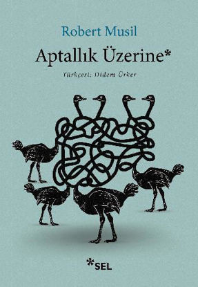 Aptallık Üzerine resmi