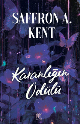 Karanlığın Ödülü resmi