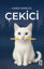 Çekici resmi