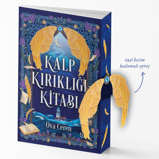 Kalp Kırıklığı Kitabı resmi