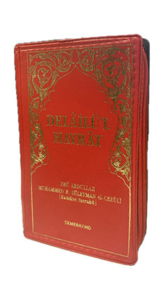 Delailül Hayrat resmi