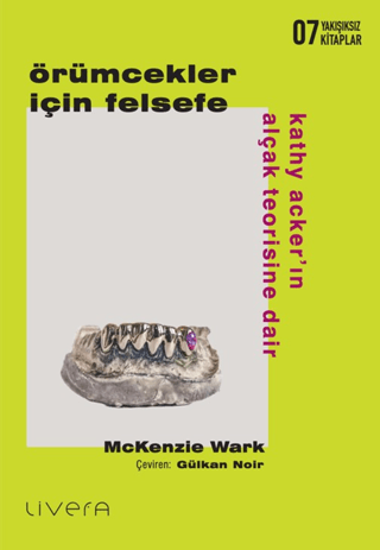 Örümcekler İçin Felsefe - Kathy Acker’ın Alçak Teorisine Dair resmi