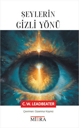 Şeylerin Gizli Yönü resmi