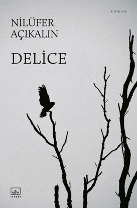 Delice resmi