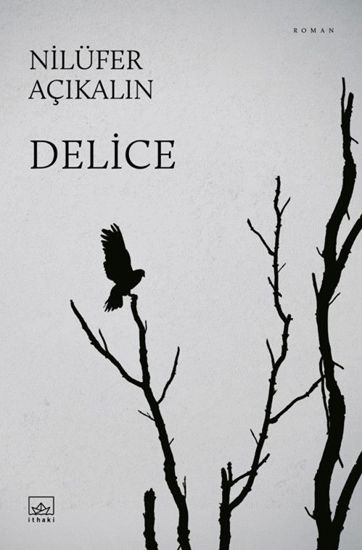 Delice resmi