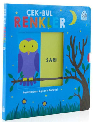 Çek-Bul Renkler resmi