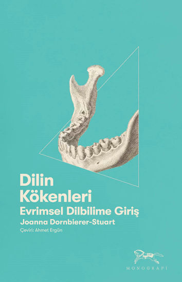 Dilin Kökenleri resmi